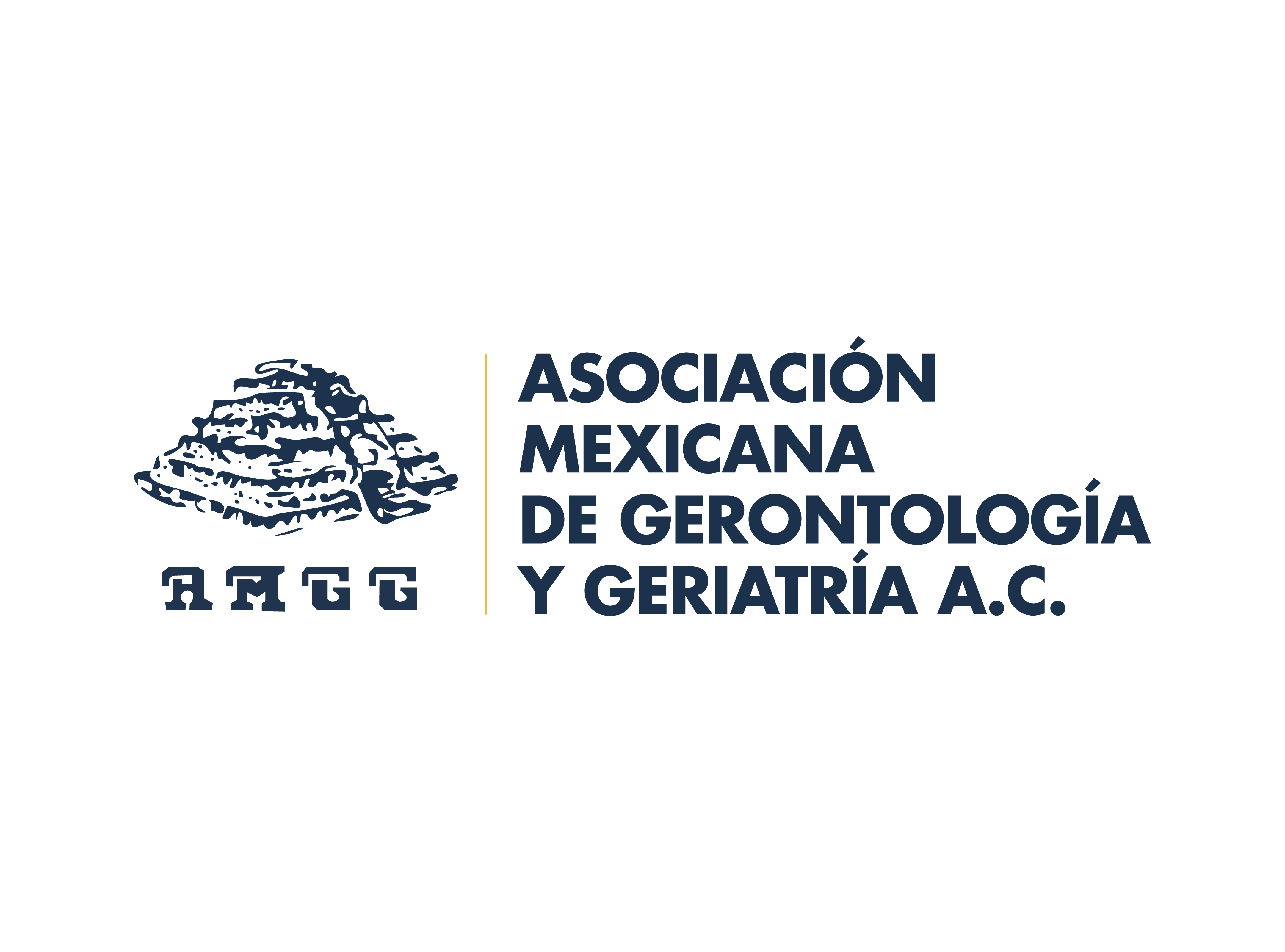 Asociación Mexicana de Gerontología y Geriatría